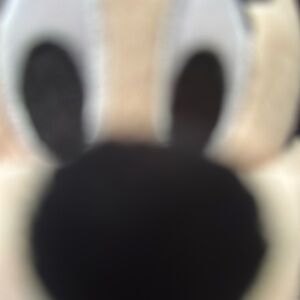 Meet your Posher, Sandy